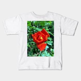 Red rose in the garden Kids T-Shirt